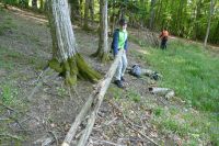 Waldtag1a-2024-16